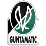 Escudo de Ried