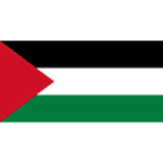 Escudo de Palestine