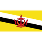Escudo de Brunei